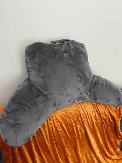 Reading Pillow (great condition)