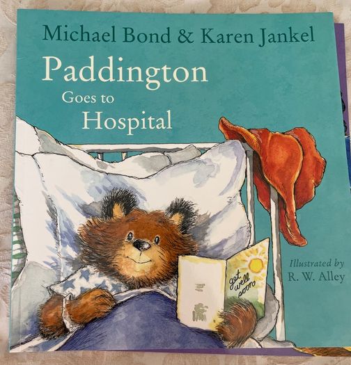 Paddington Book Bundle - 10 Books - New