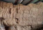 Small Square Hay Bales - Fresh & Great Quality