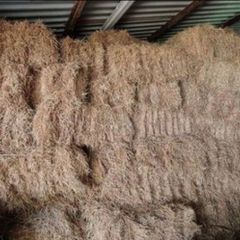 Small Square Hay Bales - Fresh & Great Quality
