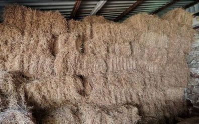 Small Square Hay Bales - Fresh & Great Quality