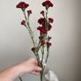 BNWT 3 long stems of artificial Carnations Image 2