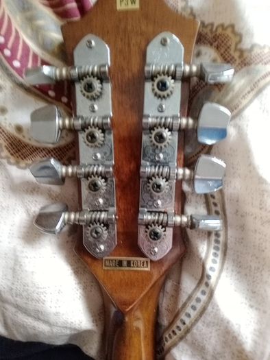 Palmer mandolin P3W  late 70s r early 80s and gigbag