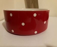 Mason Cash Red Polka Dot Dog Bowl