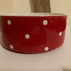 Mason Cash Red Polka Dot Dog Bowl