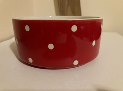 Mason Cash Red Polka Dot Dog Bowl