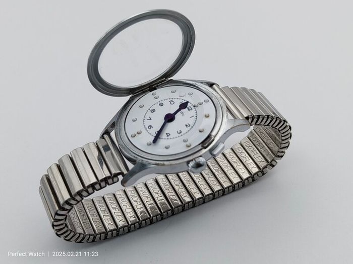 Vintage BWC Swiss for the blind watch