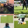 4m x 1m 15mm Pile High Artificial Grass/Light Green Astro Turf/High Density Fake Grass (FREE SHIPPING) Image 8