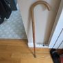 Walking stick Image 2