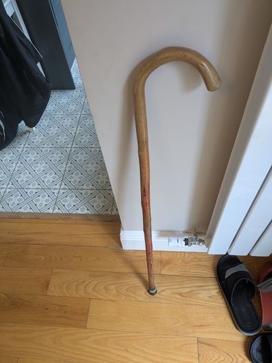 Walking stick