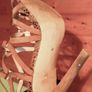 River Island Ladies High Heel Shoes (uk 4) Used. Image 6