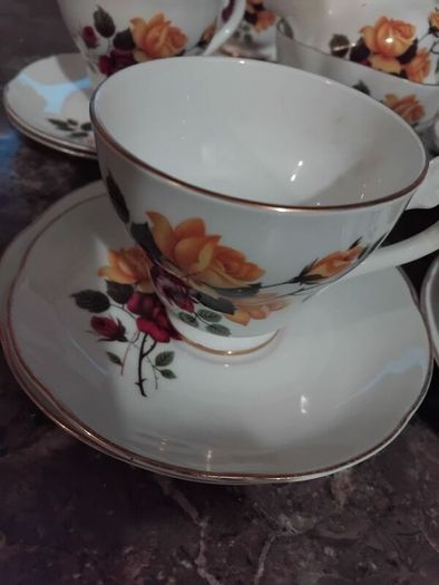 21piece vintage tea set by ROYAL STUART