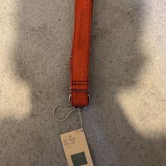 Rustic dog collar