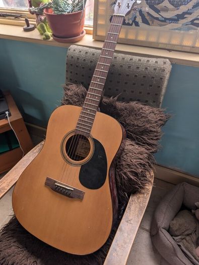 Acoustic guitar