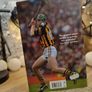 The Autobiography ! HAND SIGNED by Henry Shefflin ! 2015 ! by Penguin ! AUTOGRAPH ! Image 2