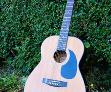 Guitar