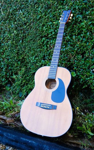 Guitar