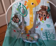 Baby Relaxer chair