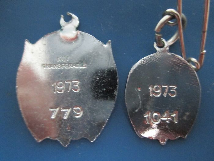 Phoenix Park Races Badges X 2
