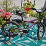 Bicycle Image 2