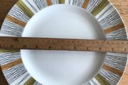 Vintage Retro Sienna Midwinter Dinner Plate