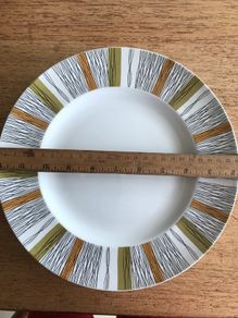 Vintage Retro Sienna Midwinter Dinner Plate