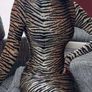Tiger pattern dress Image 8