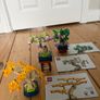 Lego Botanicals Mini Bonsai Trees Image 5