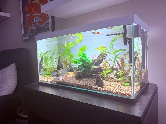Aquarium & Table Stand