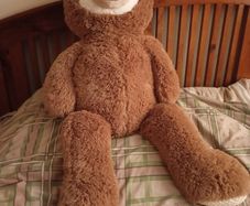 Extra Large Sloth Soft Toy
