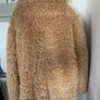 Beige Teddy Coat Image 4