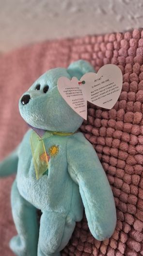 Beanie Baby