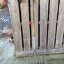 8 tine silage or stable fork,40in handle and 16inch width, hard to get this quality steel nowadays, could be 40-50 years old Image 5