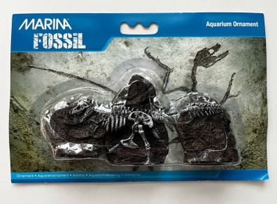 aquarium ornament