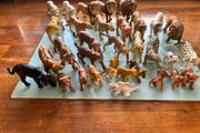 Schleich -Big Cats