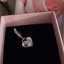 2 New genuine pandora charms mother in law and daughter in law Image 2