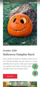 Clissmann Pumpkin Patch