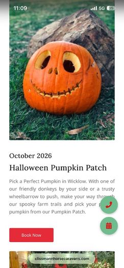 Clissmann Pumpkin Patch