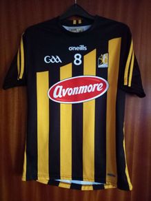 Kilkenny jersey