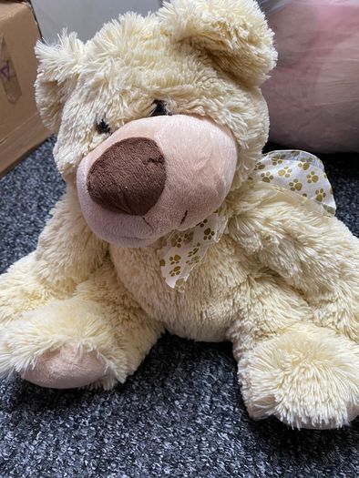 Cuddles time teddy