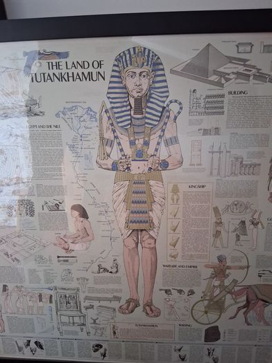 Tutankhamun -  Large Framed Print