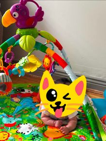 Baby Gym