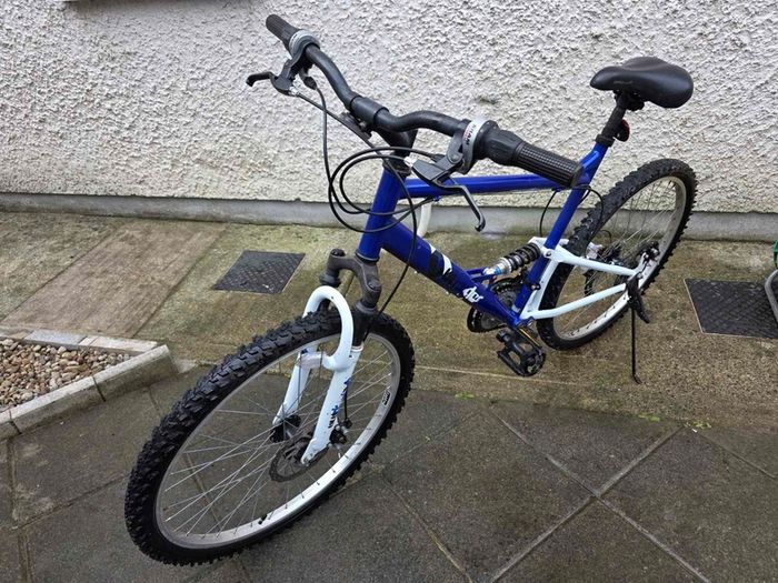 Adult Bike
