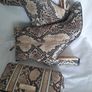 Snakeskin Ankle boots Image 5