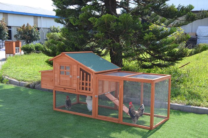 Henitentiary Coop - 4 to 5 birds - Free Delivery
