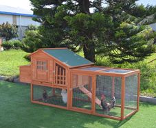Henitentiary Coop - 4 to 5 birds - Free Delivery