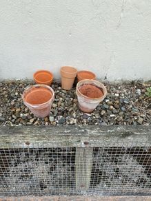 Flower pots