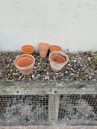 Flower pots