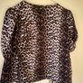 Leopard Print Top Image 2