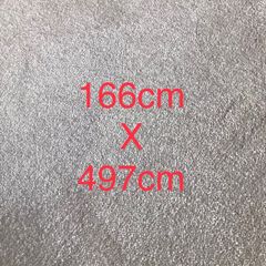 carpet 166 x 497 cm